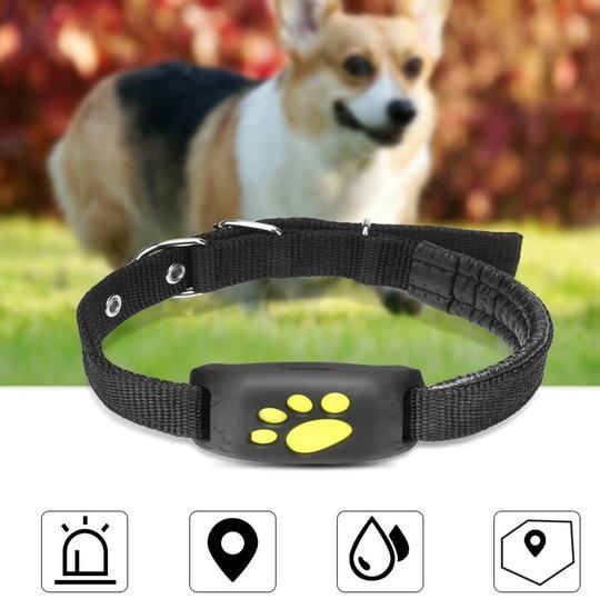 GPS Pet Tracker (Z8-A)