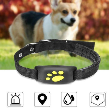 GPS Pet Tracker (Z8-A)